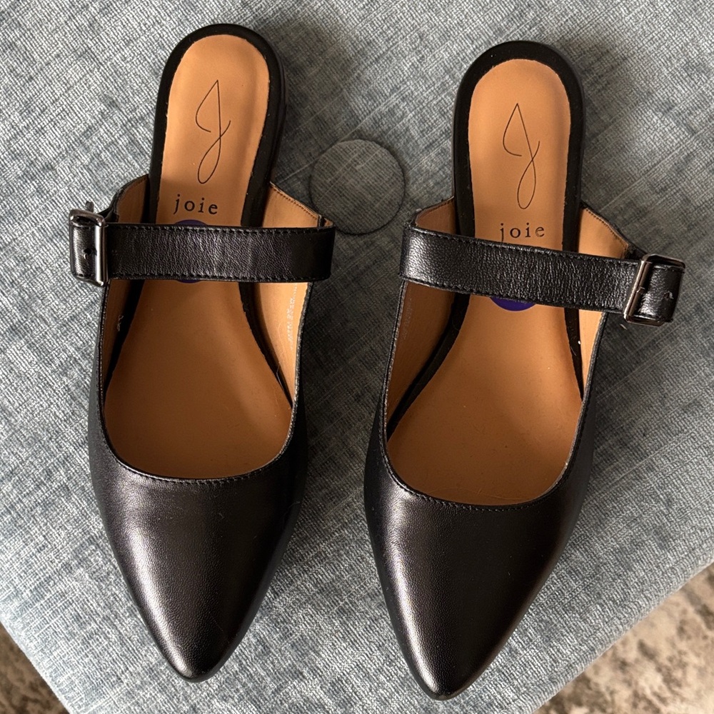 Joie Black Leather Pointed Toe Buckle Flats | NWOT